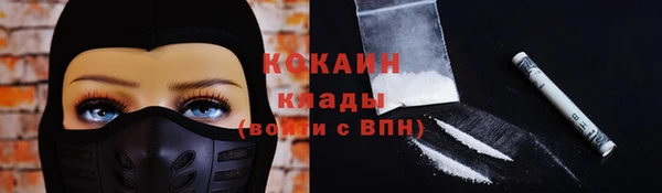 прущие грибы Осинники