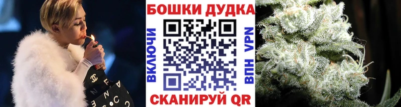 Конопля индика Купить где Бавлы